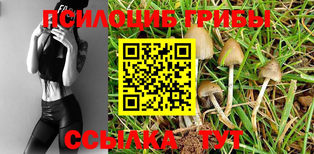 Галлюциногенные грибы Psilocybine cubensis  Вход с VPN  Кольчугино 