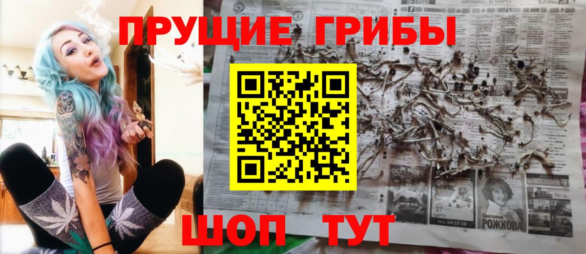 Псилоцибиновые грибы MAGIC MUSHROOMS Кольчугино
